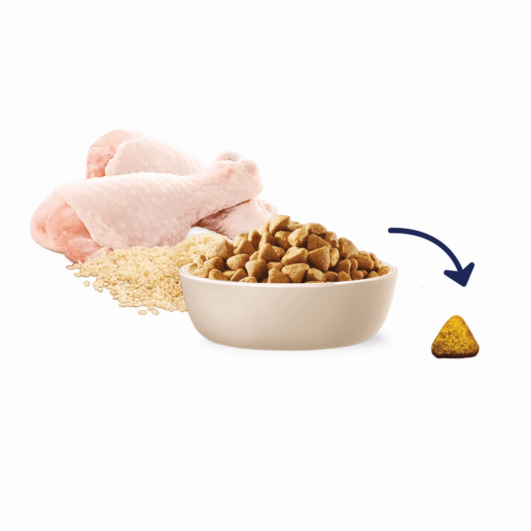 Advance Dog Food Adult Medium Breed Mobility Chicken with Rice 13kg