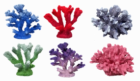 Aquamate - Corals (Small)
