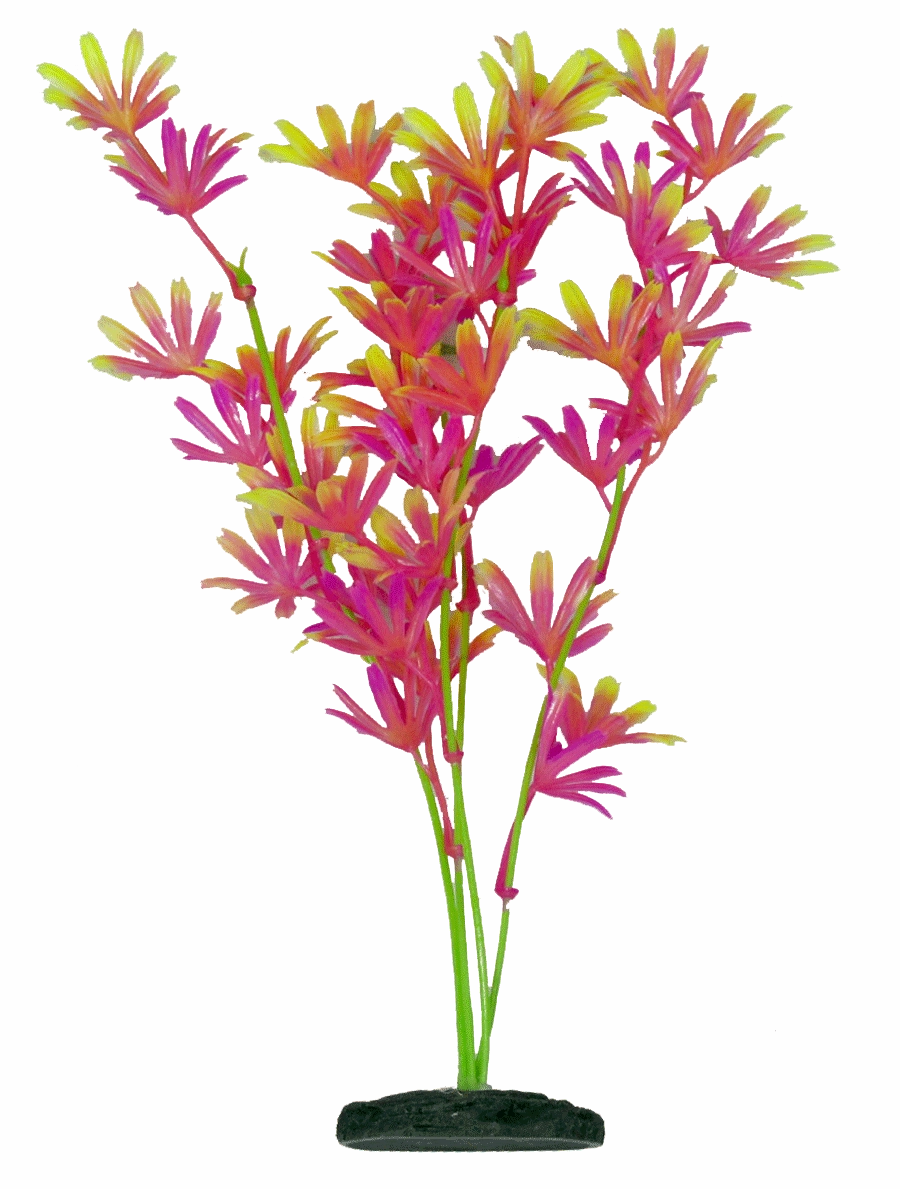 Aquamate - Vibrant Plants (20cm) (3pk)