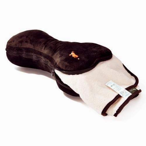 Big Bone Dog Pillow And Blanket