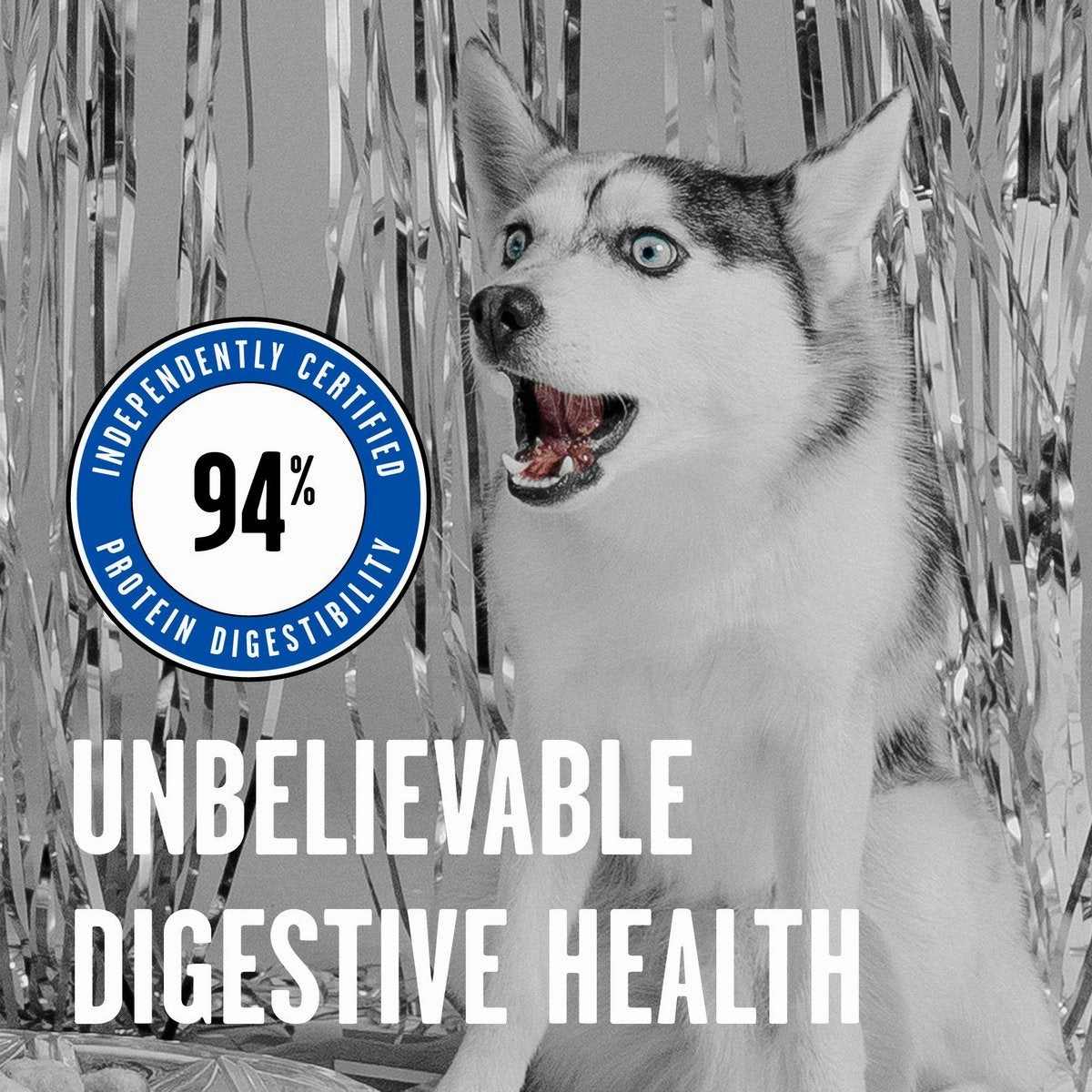 Bixbi Rawbble Freeze-Dried Turkey Recipe Dog Food