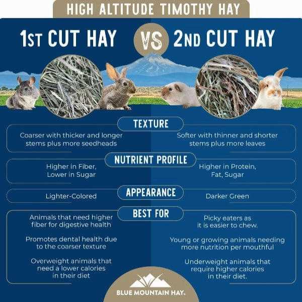 Blue Mountain Hay High-Altitude Timothy Hay (2nd Cutting)