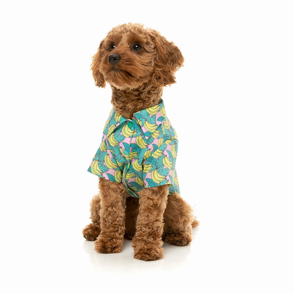 Fuzzyard Dog Button Up Shirt - Bananarama Size 6