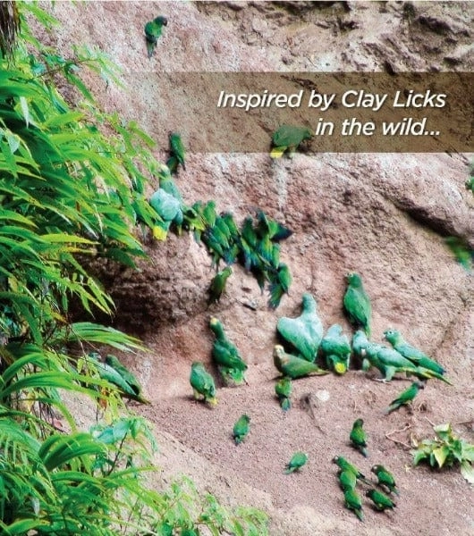 Hari Clay-Cal for Birds