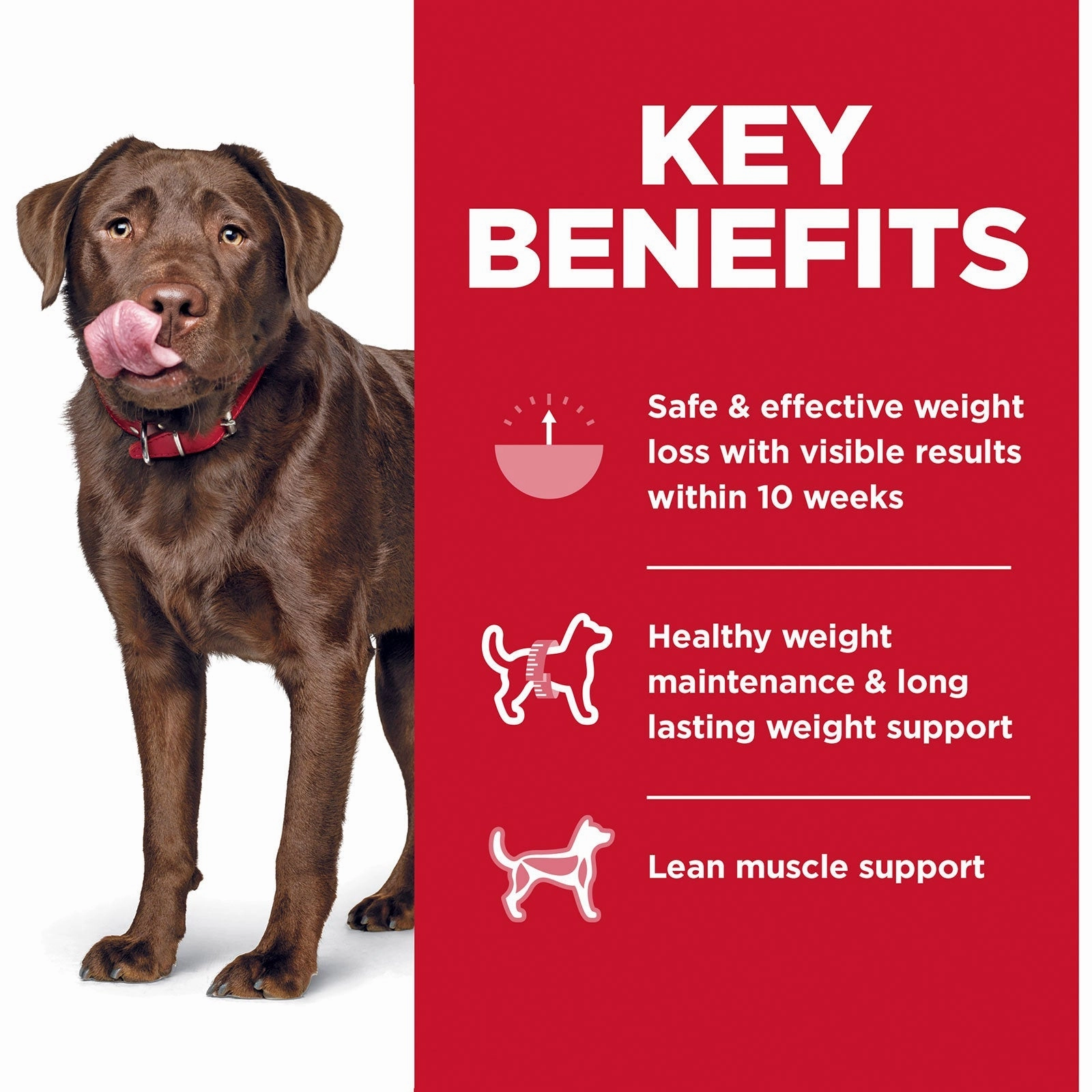 Hill's Science Diet Dog Food Adult Perfect Weight Large Breed