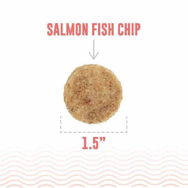 Icelandic  Salmon Fish Chips Dog Treats (SPECIAL ORDER ITEM)
