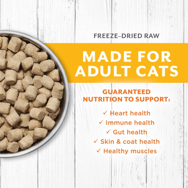 Instinct Raw Longevity Chicken Recipe 100% Freeze Dried Cat Food, 9.5oz
