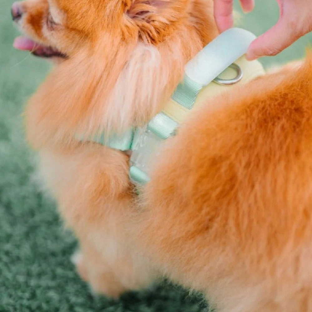 Jelly Harness