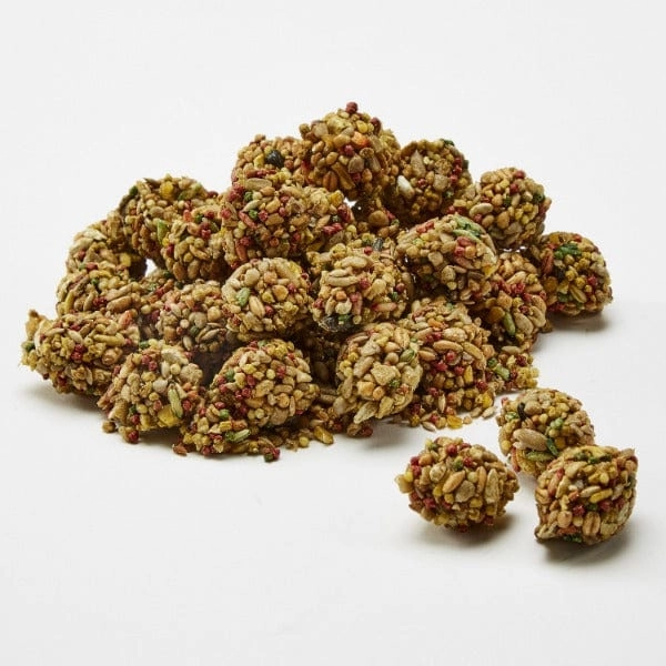 Kaytee Healthy Bits Treat for Parrots