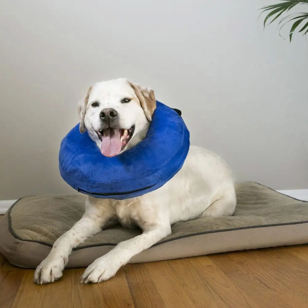 Kong Cloud Collar S (EL3)
