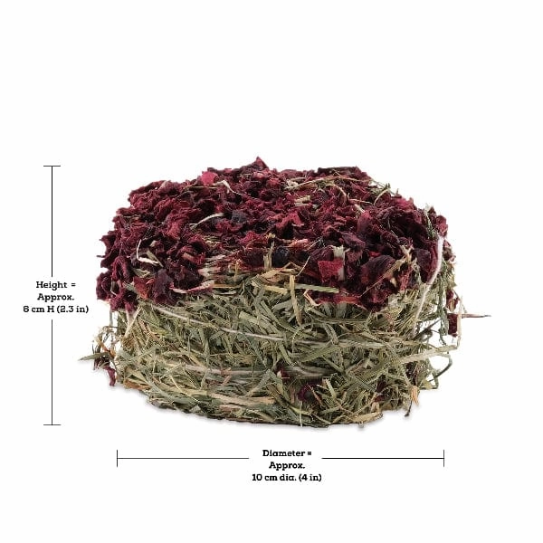 Living World Green Botanicals Hay Cake with Beet