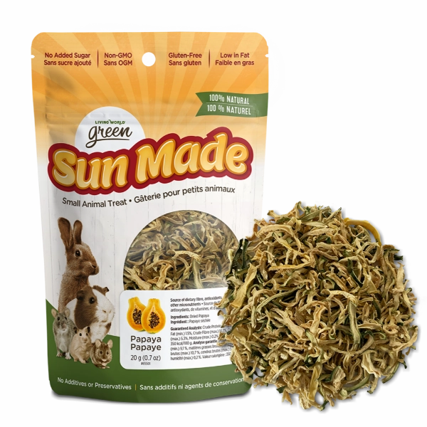 Living World Green Sun Made Dried Papaya Treat