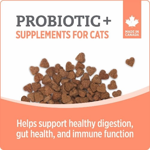 Nutrience Care  Probiotic Cat Supplement