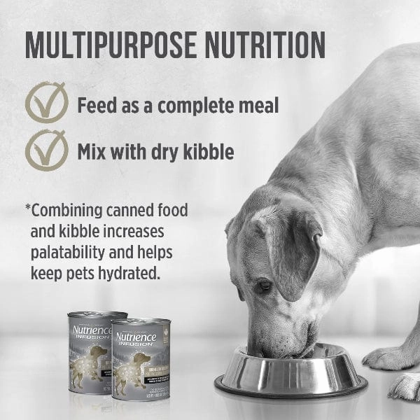 Nutrience Infusion Pate with Brome Lake Duck Canned Dog Food
