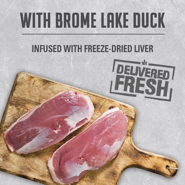 Nutrience Infusion Pate with Brome Lake Duck Canned Dog Food