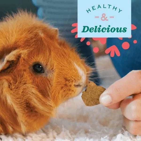 Oxbow Bene Terra Organic Barley Biscuits