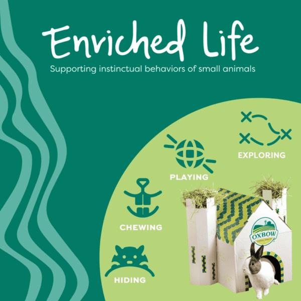 Oxbow Enriched Life - Apple Stick Bundle