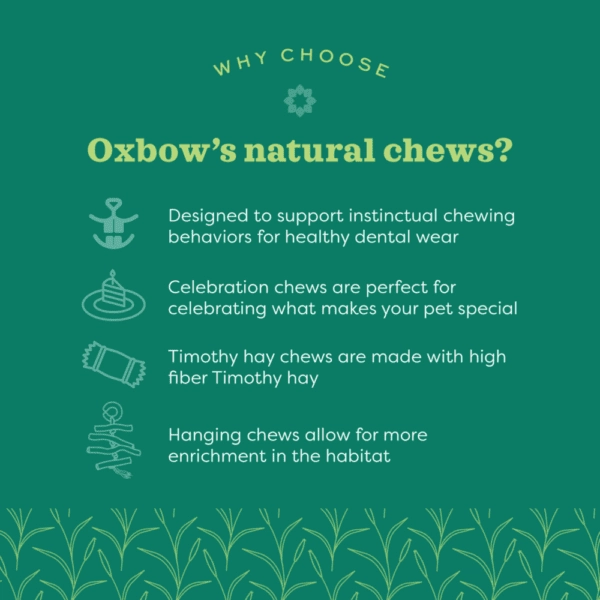 Oxbow Enriched Life - Crazy Hay Ball