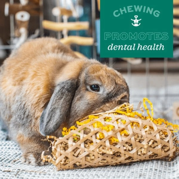Oxbow Enriched Life - Crazy Hay Ball