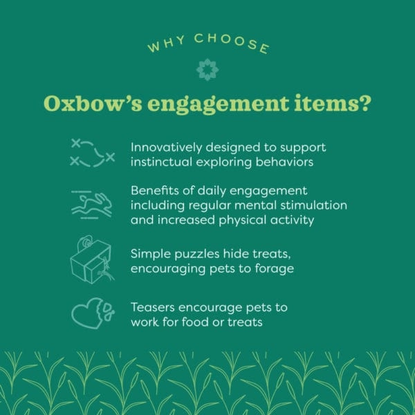 Oxbow Enriched Life - Garden Dig Box