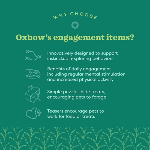 Oxbow Enriched Life - Nesting Disks
