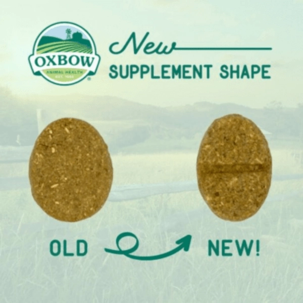 Oxbow Natural Science Skin & Coat Support