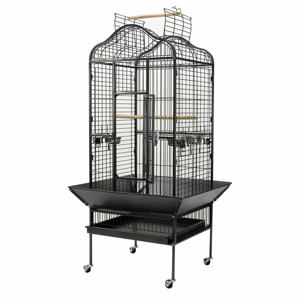 Paradise - Scallop Top Small Aviary