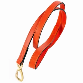 Peacock Collection Dog Leash Tangerine