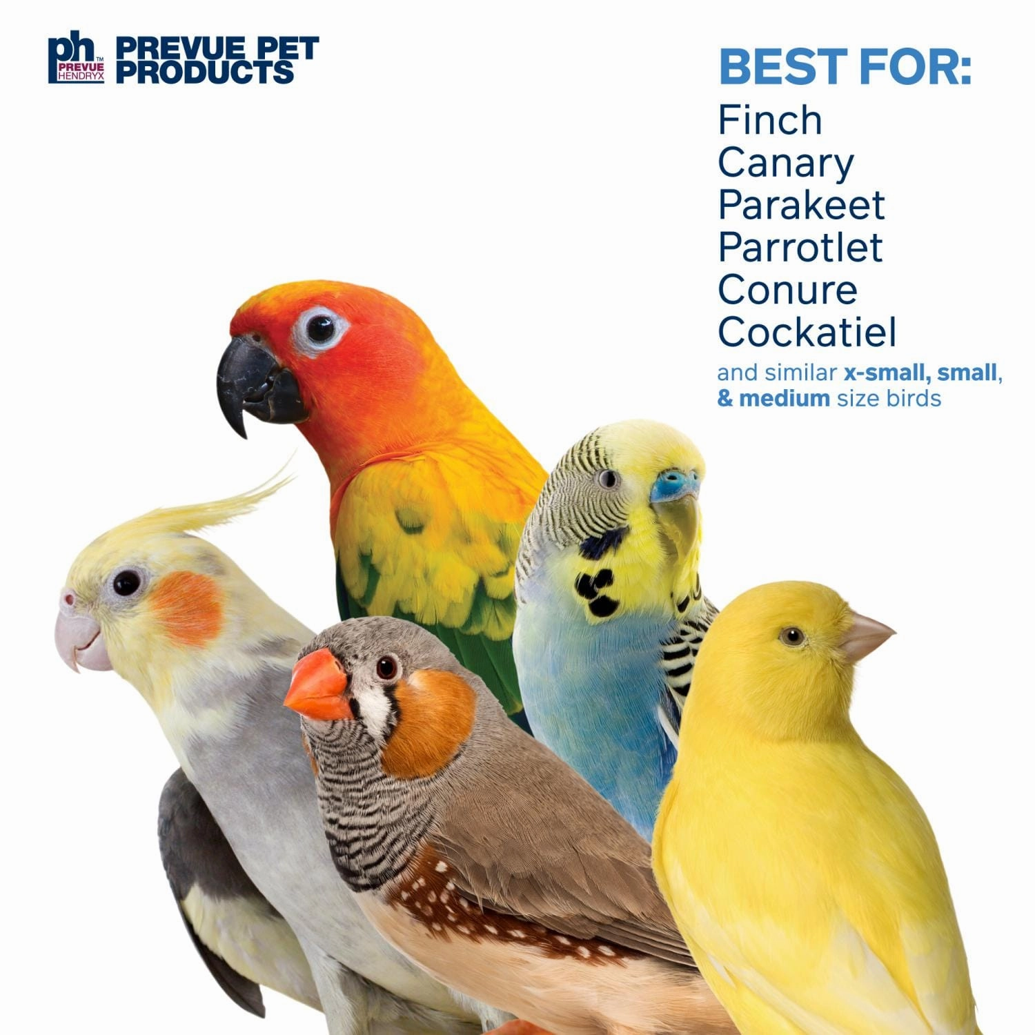 Prevue Pet Products Preening Wheel Bird Toy