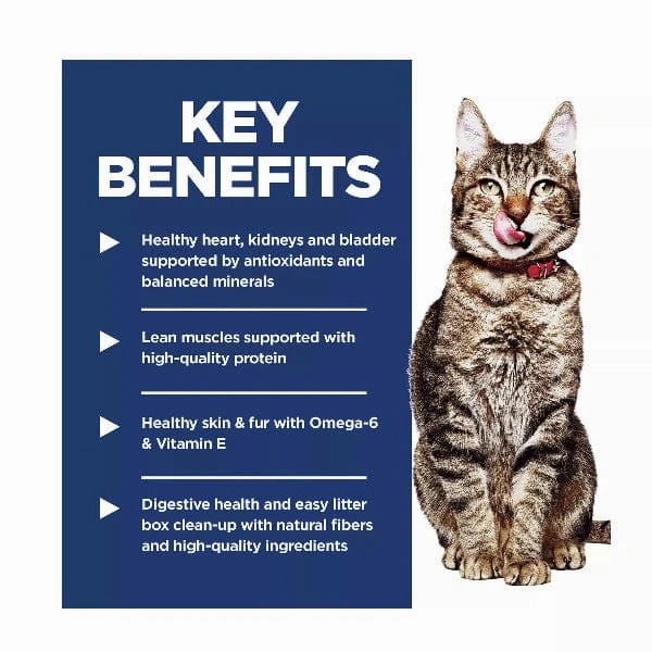 Science Diet Indoor Adult 7  Chicken Recipe Dry Cat Food