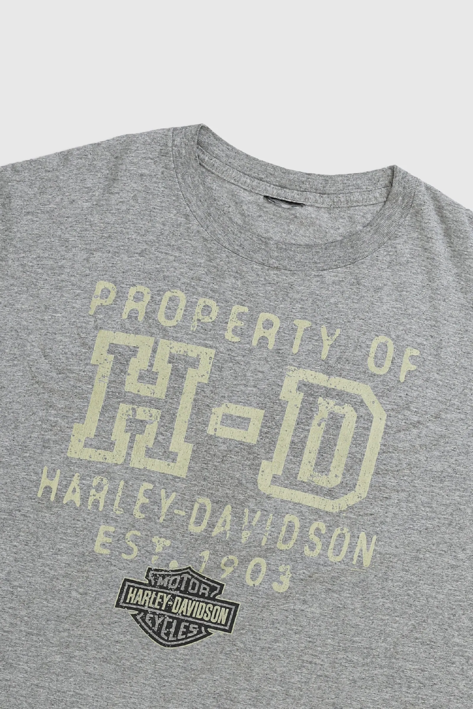 Vintage Harley Tee